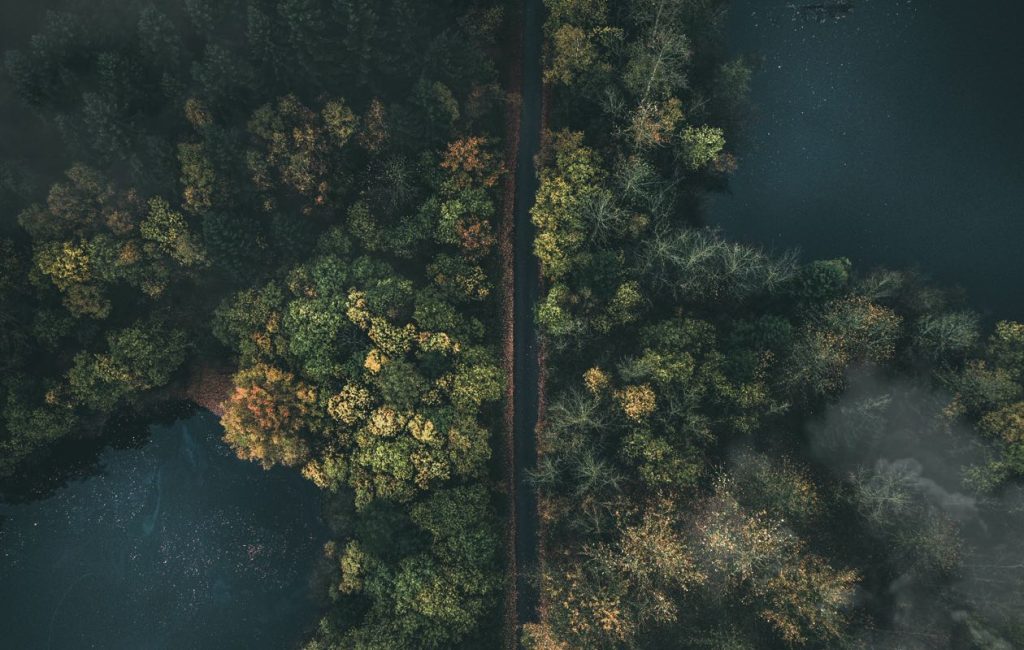 Barkley Marathons 2025 : La course légendaire s’apprête à débuter